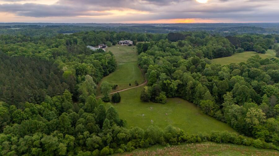 Pasture and woodland